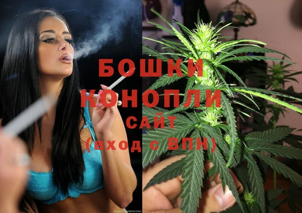 мескалин Заводоуковск