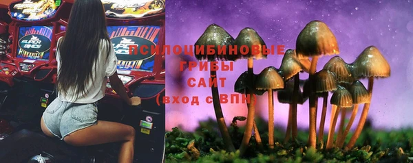 MESCALINE Заволжье