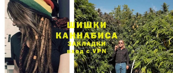 мескалин Заводоуковск