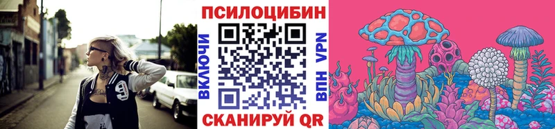 Купить где  Ипатово  Галлюциногенные грибы Psilocybe 